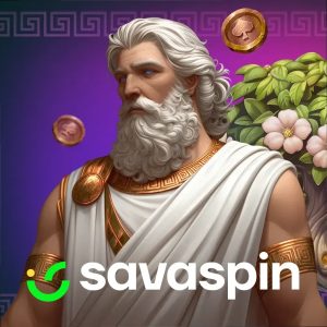 Savaspin app